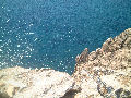 Formentera - Cap de Barbaria